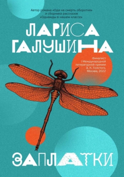Заплатки - Лариса Галушина - <a href=